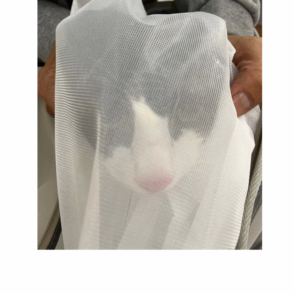 The cat, from the shelter's listing