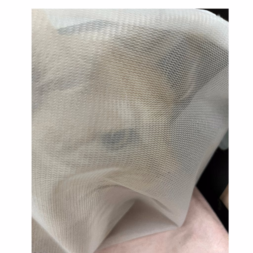 The cat, from the shelter's listing