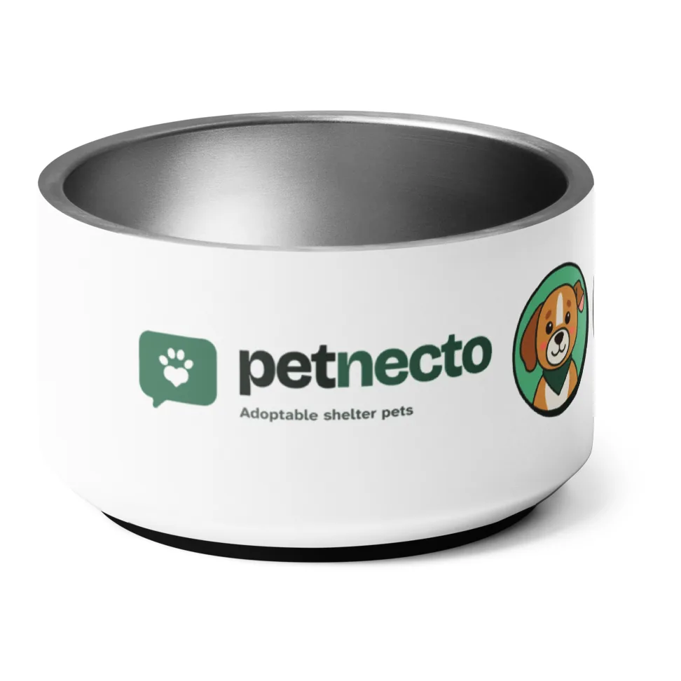 Petnecto Pet Bowl, lead, PNBW1