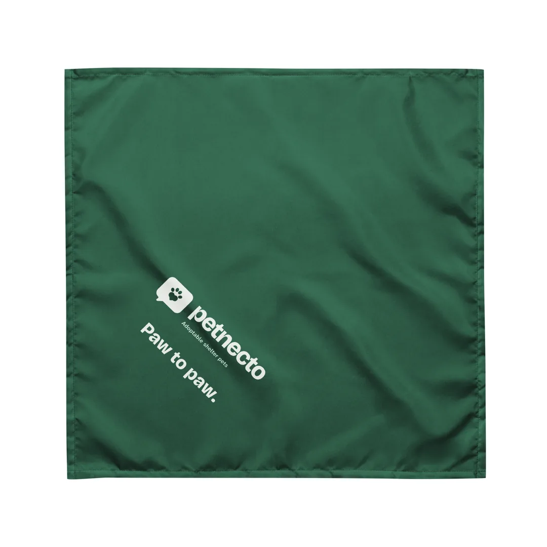Paw to Paw Bandana, front