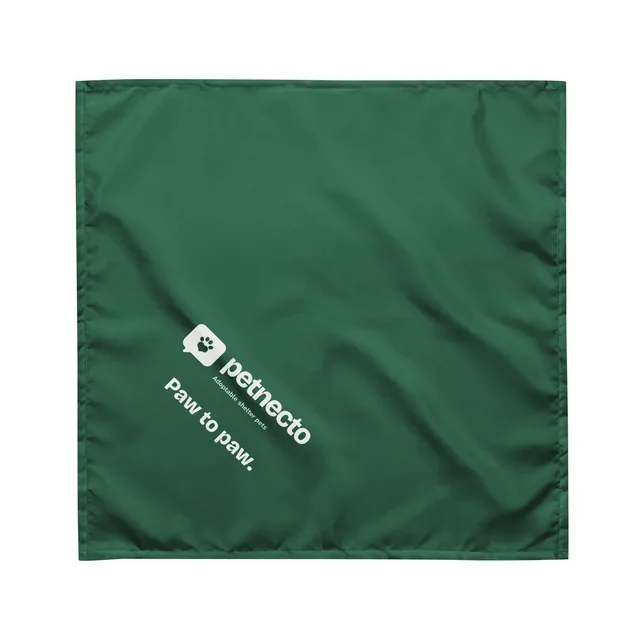 Paw to Paw Bandana