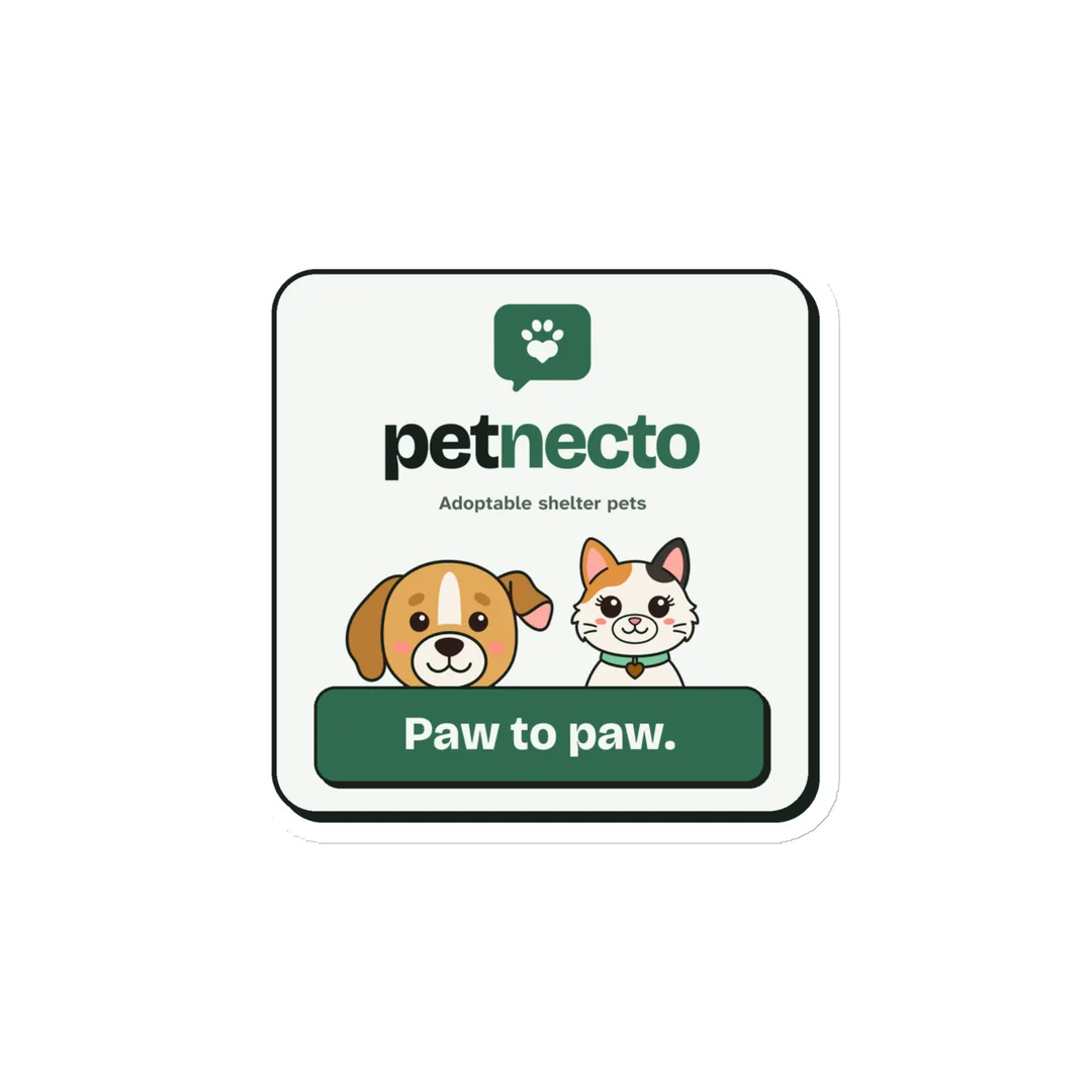Paw to Paw Magnet