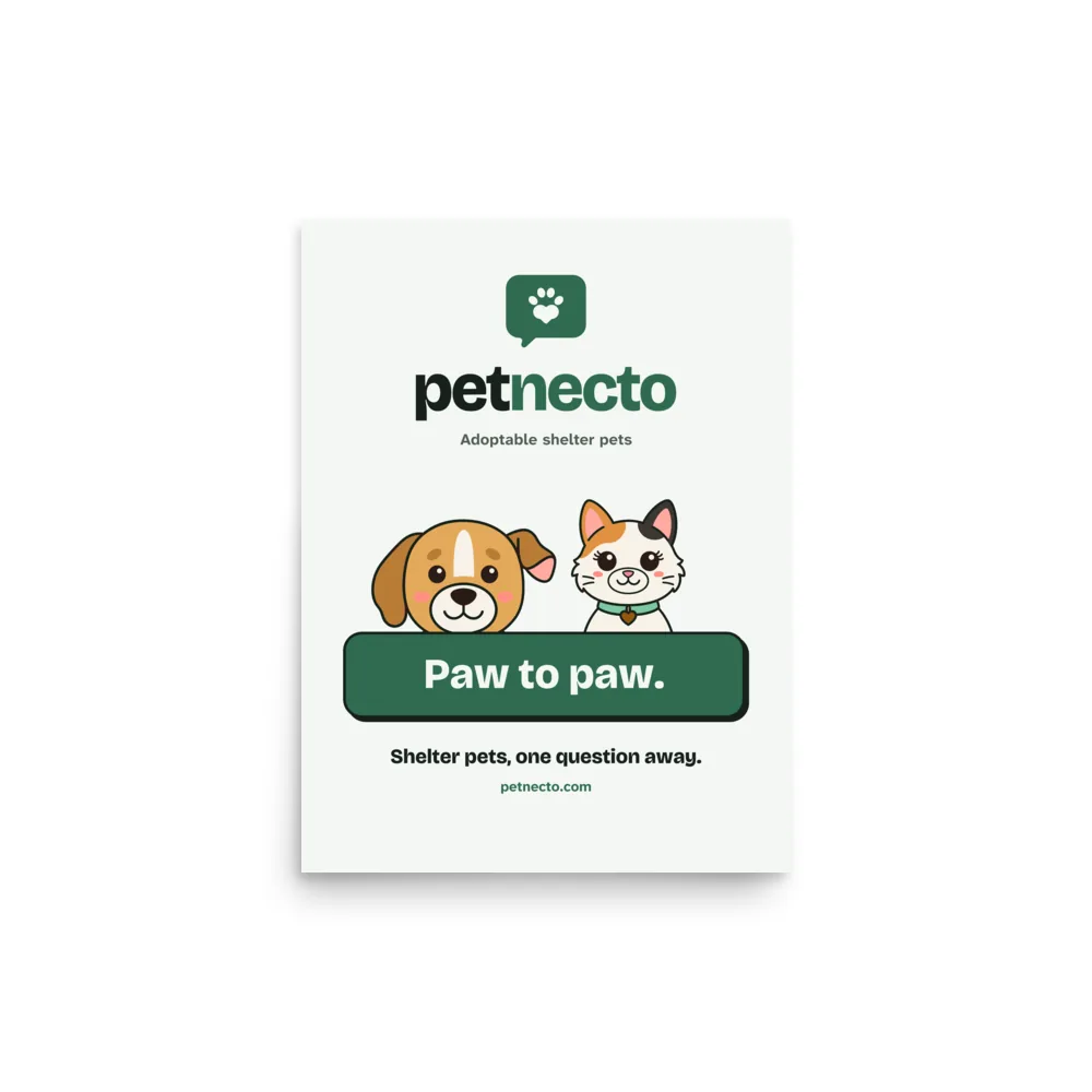 Paw to Paw Poster
